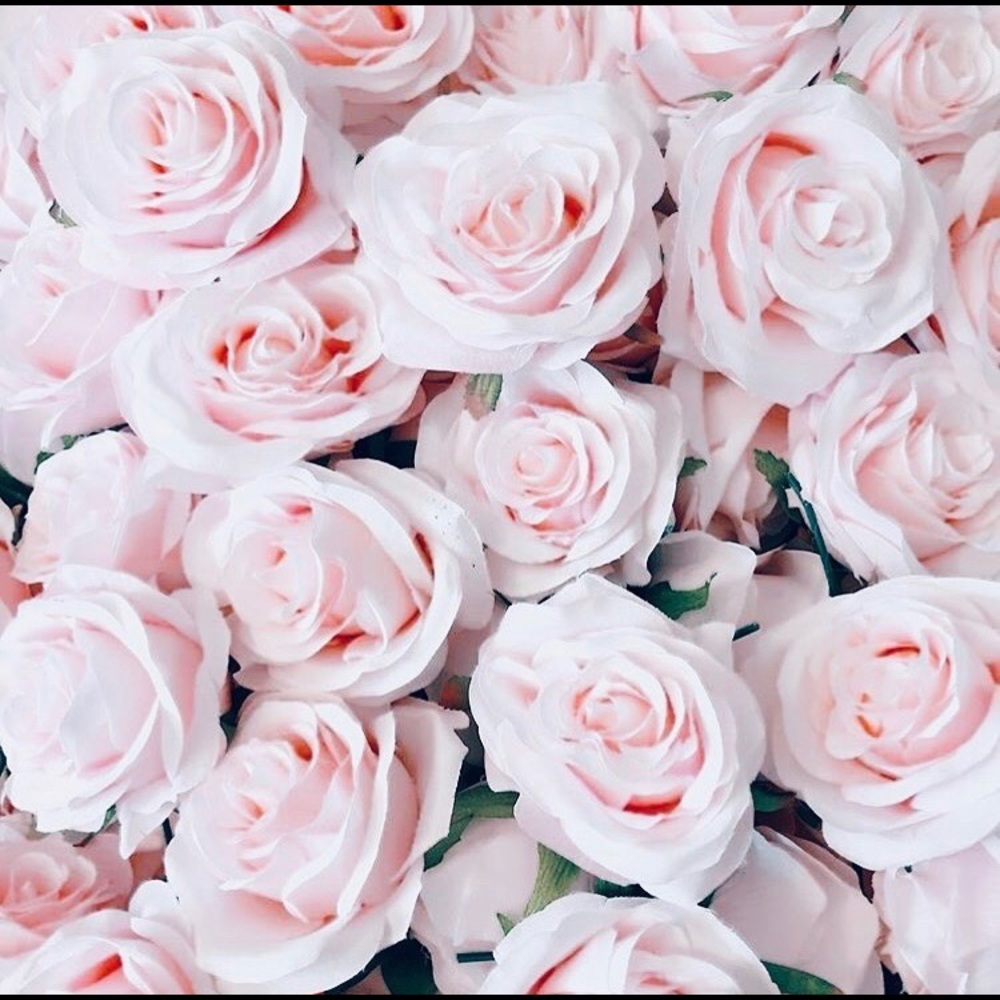 Meet your Posher, Ciera